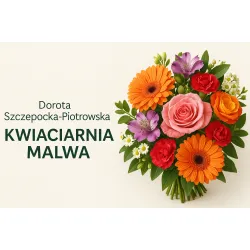 "DOROTA SZCZEPOCKA-PIOTROWSKA ""KWIACIARNIA MALWA"" "