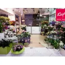 Aga Flowers Kwiaciarnia